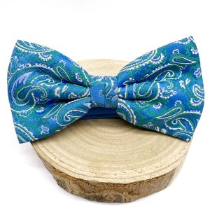 Pajarita paisley esmeralda y azul