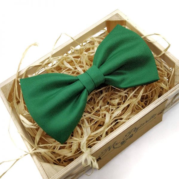 Pajarita verde Hoja