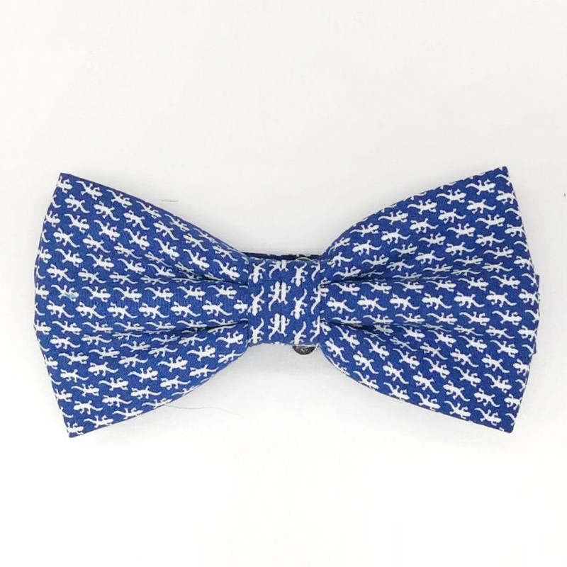 Pajarita Salamandras